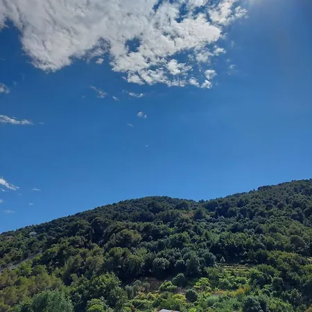Beautiful 2 With Terrace 아파트